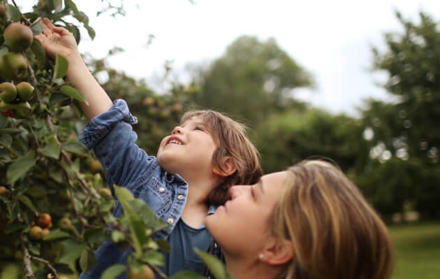 RSE et développement durable Société Générale